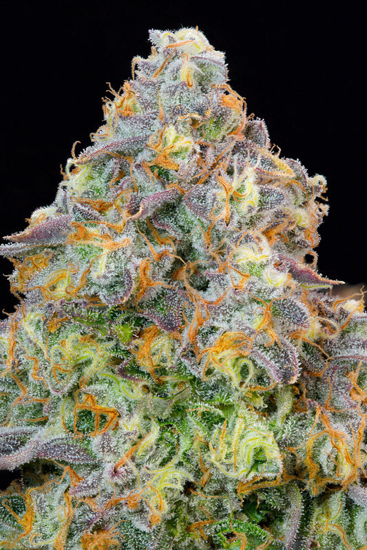 Blue Zlime