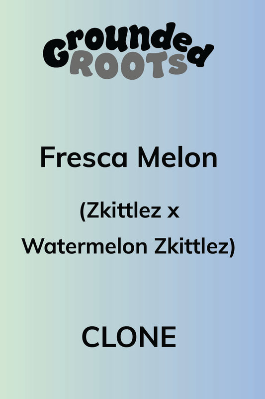 Fresca Melon