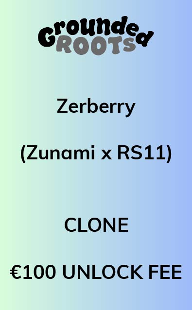 Zerberry