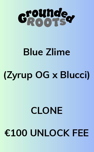 Blue Zlime