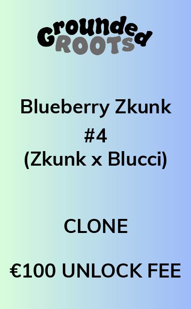 Blueberry Zkunk #4